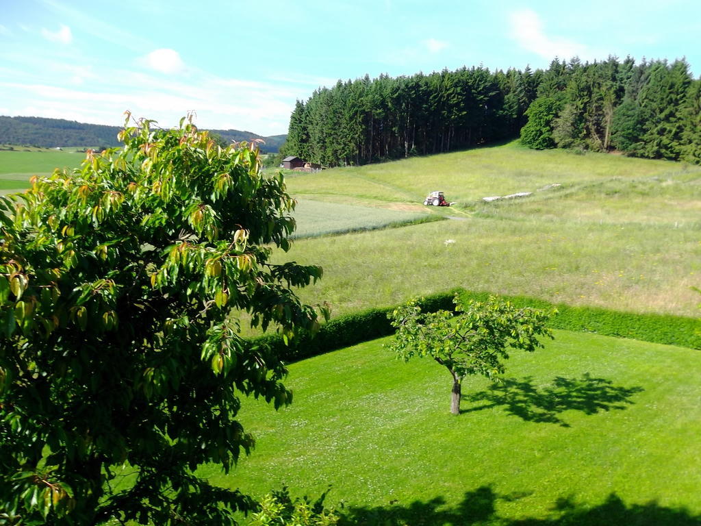 Apartment Haus Weitblick *