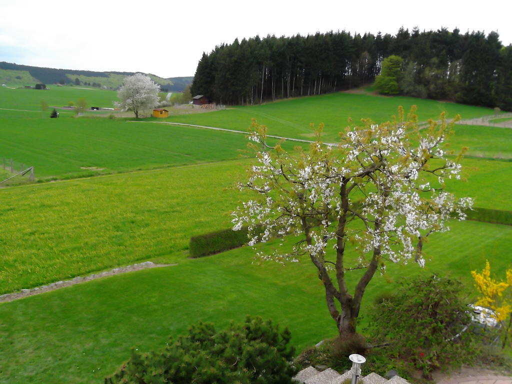 Apartment Haus Weitblick